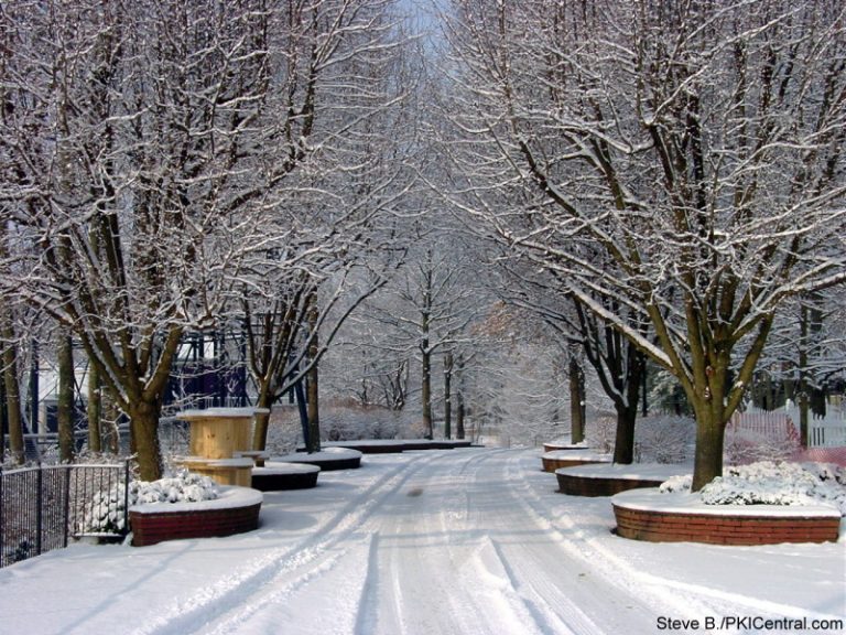PKI in Winter